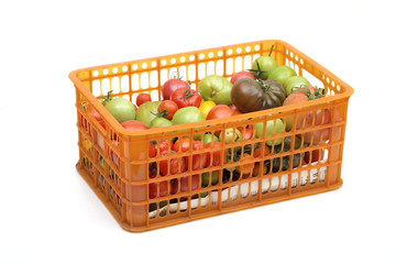 tomatoes on the white background