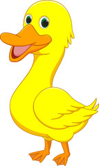 cute duck cartoon