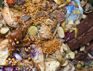 Food Waste for Recycling