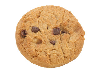Cookie Biscuit