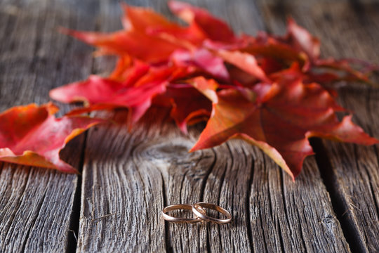 Fall on leaves on weathered table with wedding rings