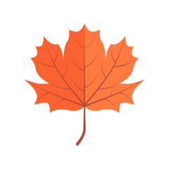 Vector Maple Leave
