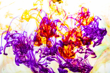 Fototapeta premium Colorful ink in water