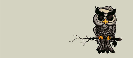 Angry but cute looking owl sitting on branch.Isolated pencil drawing illustration. Horizontal banner design