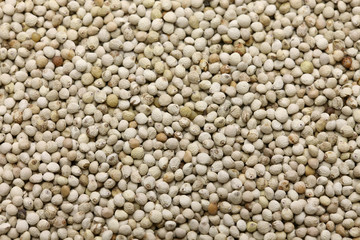 perilla seed