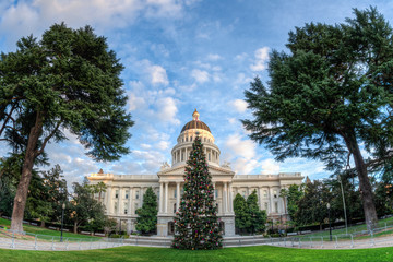 Wide angel view of the capitol Christmas tree located in front of the California State Capitol in Sacramento. - Powered by Adobe