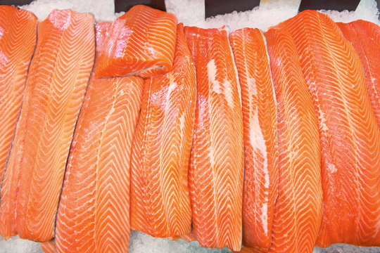 Large fillets of fresh salmon