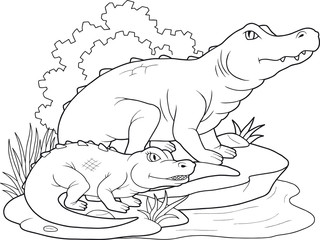 crocodile