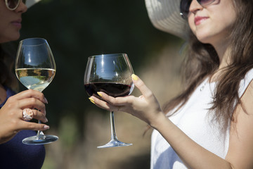 Two women wine tasting in vineyard.