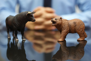 businessman is watching bull and bear , concept of stock market