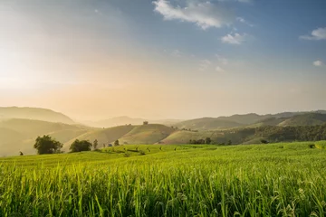 Foto op Plexiglas Rijstvelden Terrasvormig rijstveld