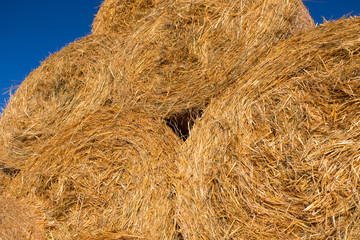 Piled hay bales on a field against blue sky