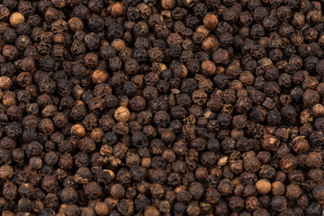 Black pepper zoomed in on