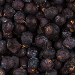 Dried black currant