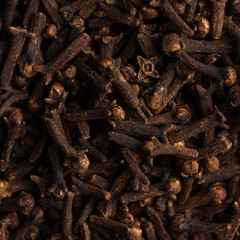 Cloves spice