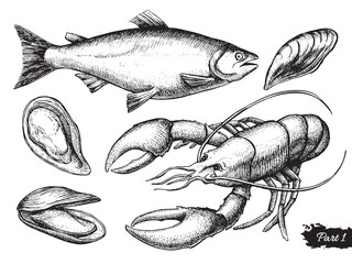 Vector hand drawn seafood set. Vintage illustration