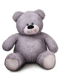 Toy soft teddy bear
