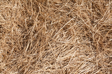 straw