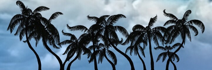 Fototapeta na wymiar Palm trees silhouette on sky background