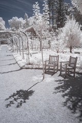 Albert Kahn garden in infrared