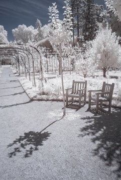 Albert Kahn garden in infrared