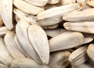 organic sunflower seed