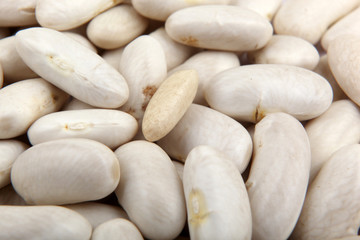 Haricot beans