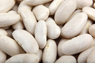 Haricot beans