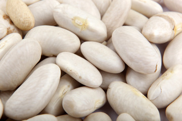 Haricot beans