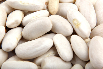 Haricot beans