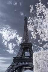 Eiffel tower in infrared