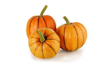 beautiful bright pumpkins on a white background