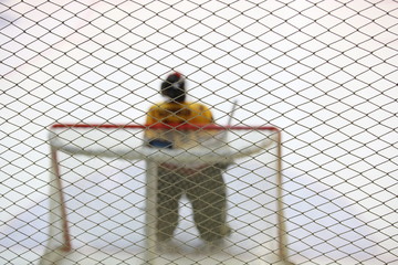 ice hockey goalkeeper near gates on the ice