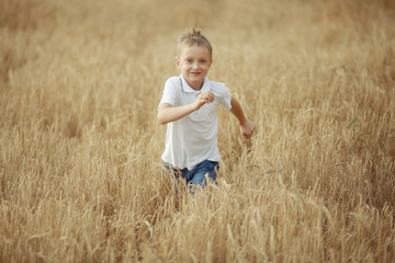 Naklejka na ściany i meble boy runs through a wheat field
