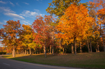 Michigan Fall Colors