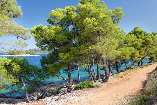 Chorwacja, Bilo, Grebastica