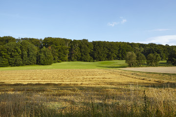Fototapeta na wymiar Landschaft mit Feldern und Waldrand im Ruhrgebiet