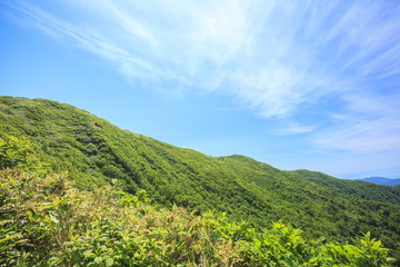 Summer of Mt. Shirakamidake, World Heritage, Shirakami-Sanchi, Aomori, Japan