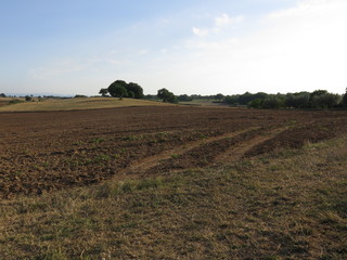 Obraz premium campagna