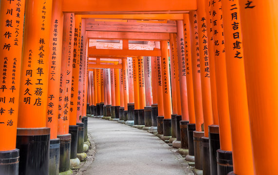 Beautiful orange wooden arches in Inari area Kyoto