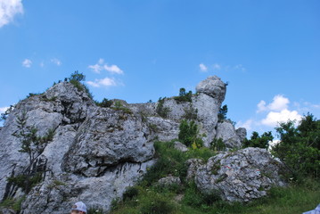 Góra Zborów © Olga Korowacka