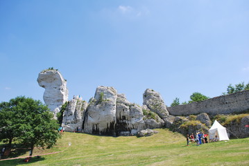 Zamek Ogrodzieniec © Olga Korowacka