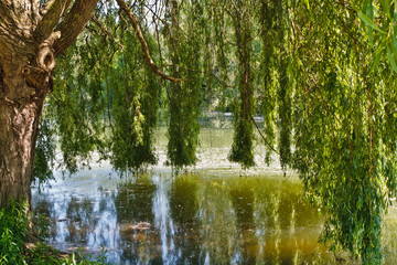 Chalon sur saône (Saône et loire)