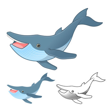 High Quality Humpback Whale Cartoon Character Include Flat Design and Line Art Version