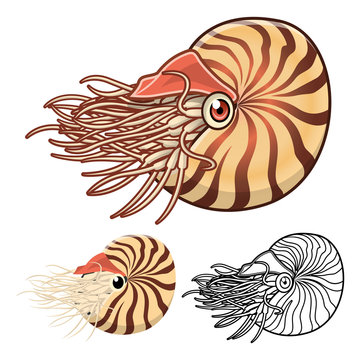 High Quality Nautilus Cartoon Character Include Flat Design and Line Art Version