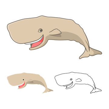 High Quality Sperm Whale Cartoon Character Include Flat Design and Line Art Version