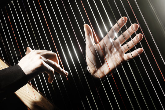 Harp musical instruments