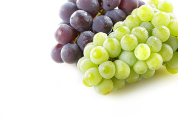 ぶどう　Grape  Green grapes