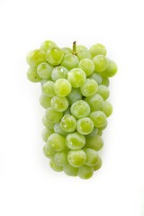 白ぶどう　ナイアガラ　Green grapes　Niagara