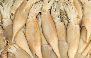 Obraz premium Octopus and squids at a food market in Thailand